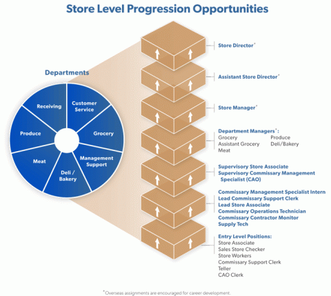 Store Level Progression Opportunities Thumbnail