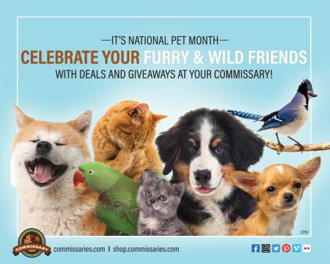 Celebrate Your Pet graphic Thumbnail