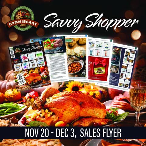 DP 24 sales flyer graphic