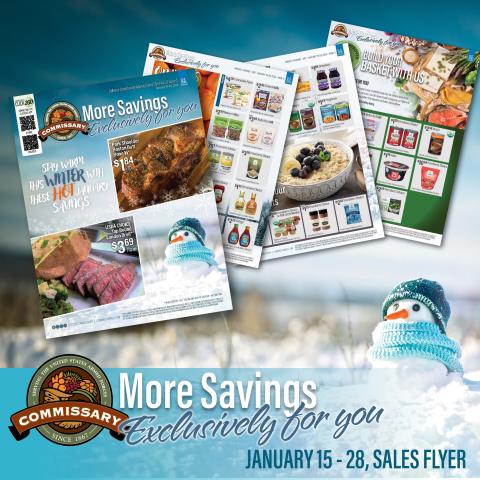DP2 sales flyer graphic