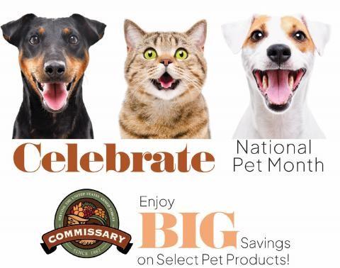 dogs and a cat with text that says celebrate national pet month