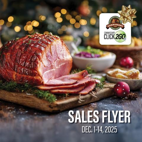 DP25 Sales Flyer graphic