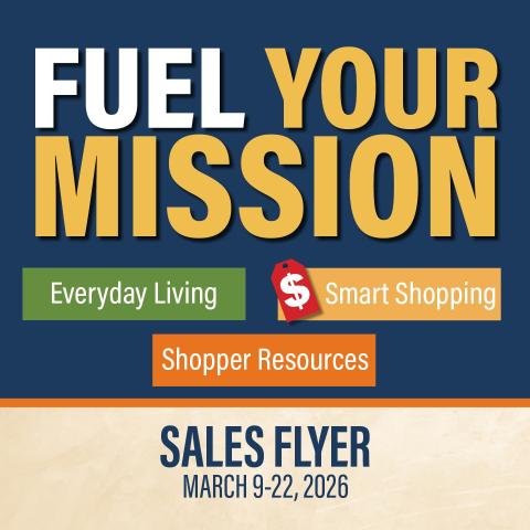 DP6 sales flyer graphic